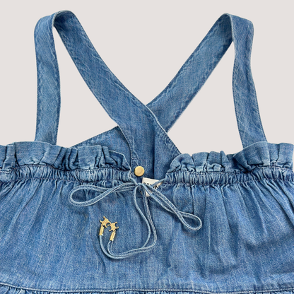 Celine Denim Dress
