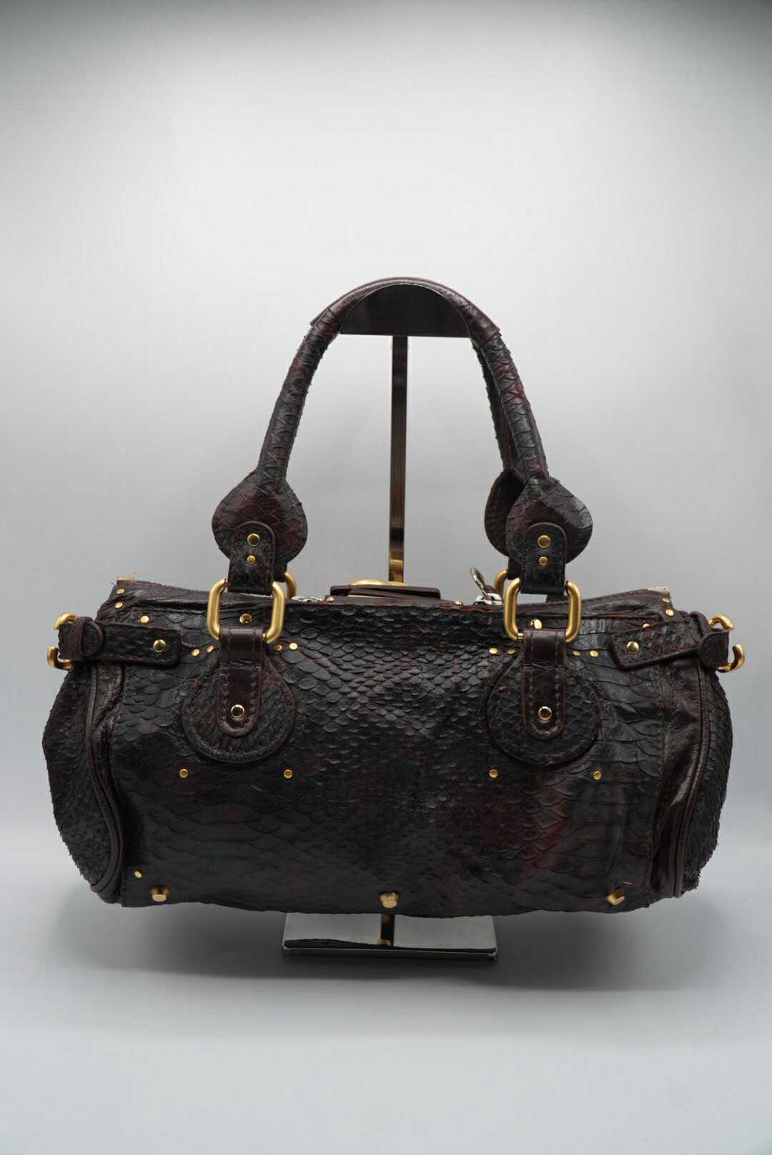 Chloe Phoebe Philo Paddington Python Satchel