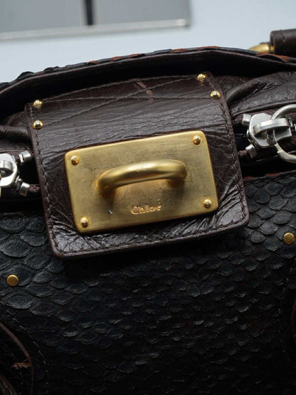 Chloe Phoebe Philo Paddington Python Satchel