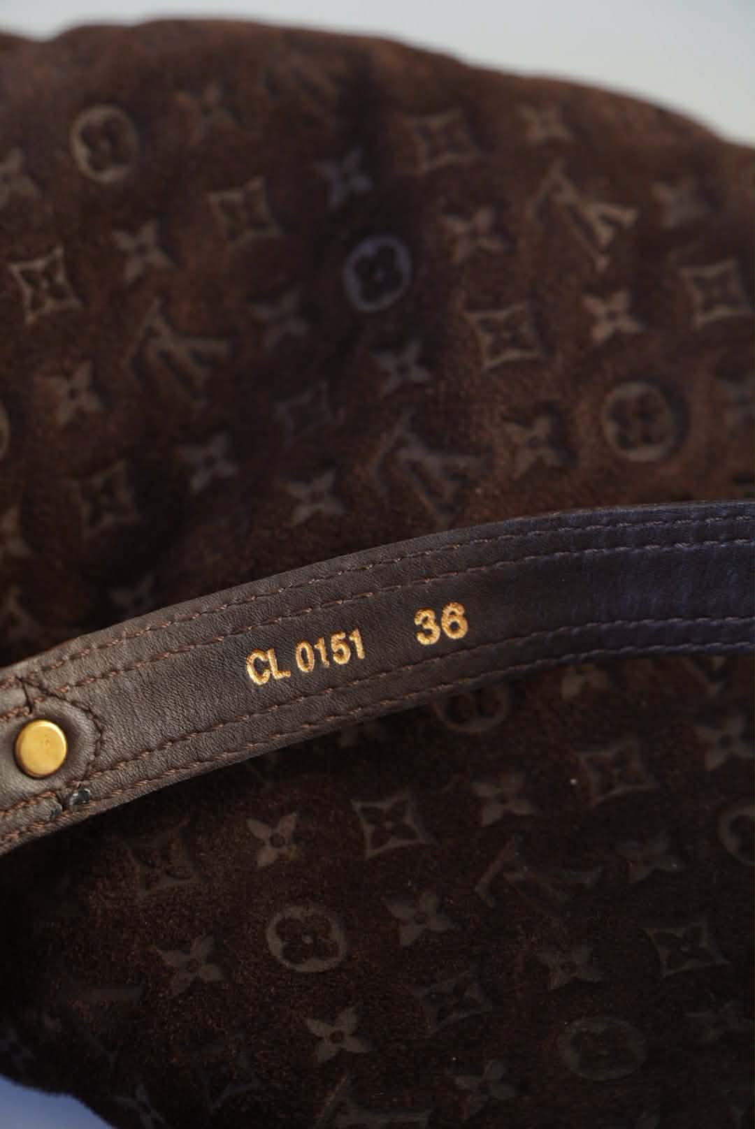 Louis Vuitton Brown Monogram Suede Moto Boots