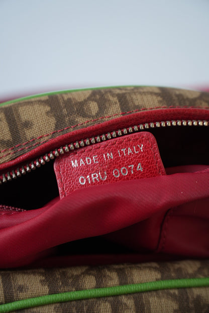 Christian Dior Rasta Monogram Trotter Bag