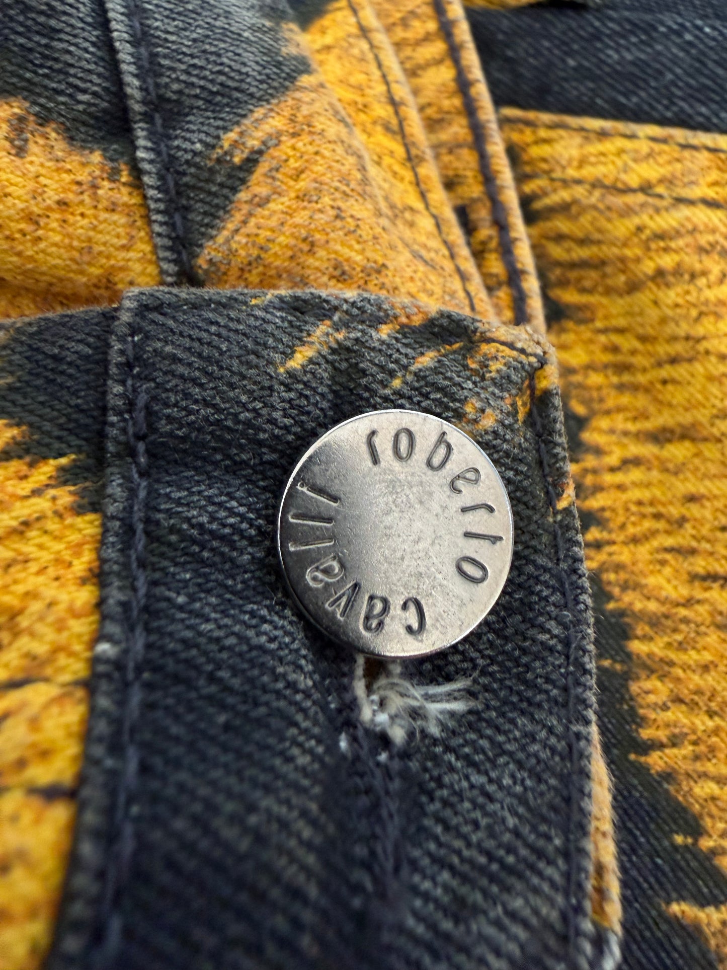 2000’s Roberto Cavalli Tiger Print Denim Pants