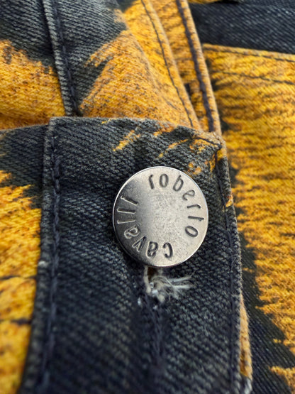 2000’s Roberto Cavalli Tiger Print Denim Pants