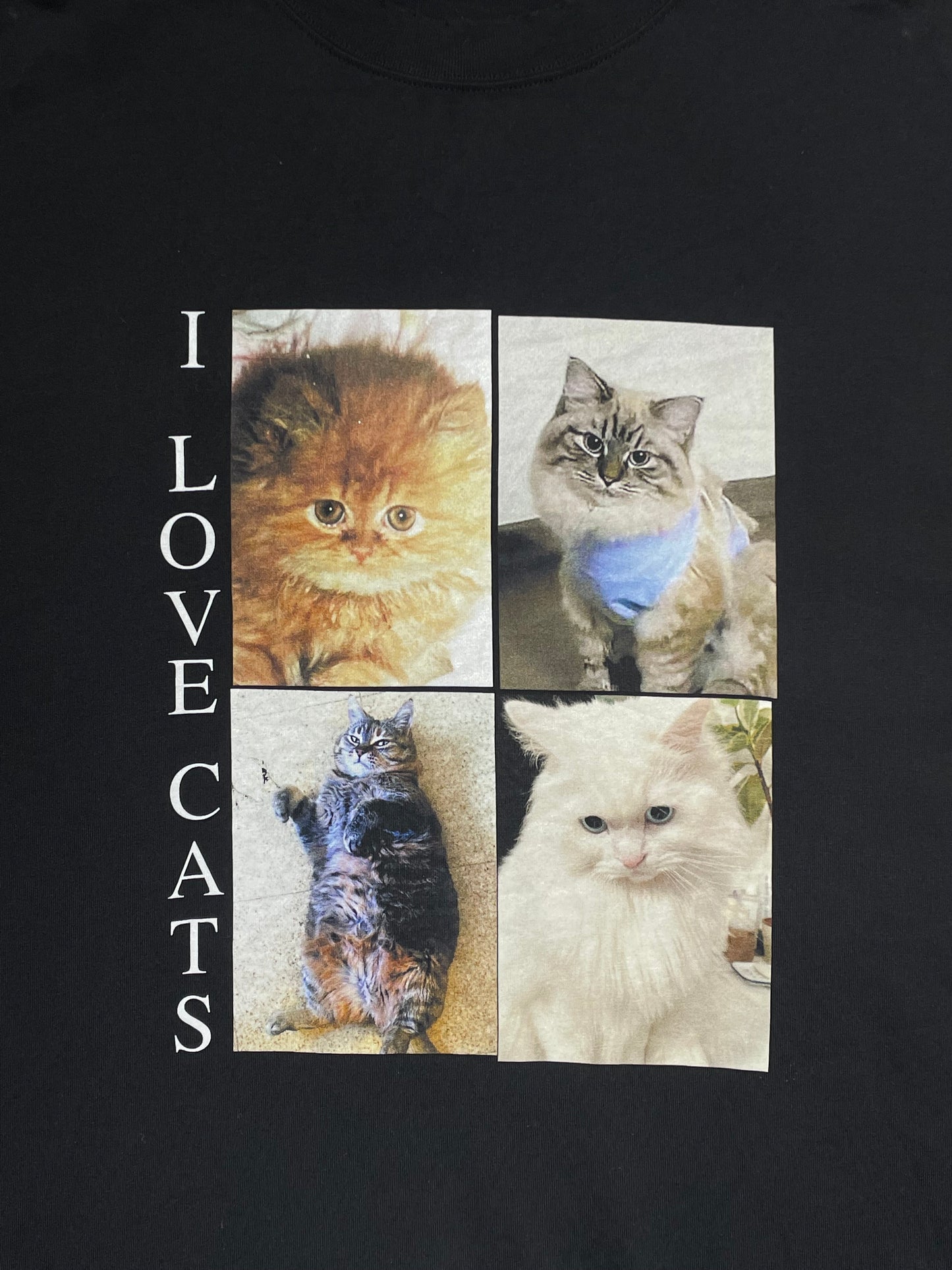 Balenciaga Ilove Cats