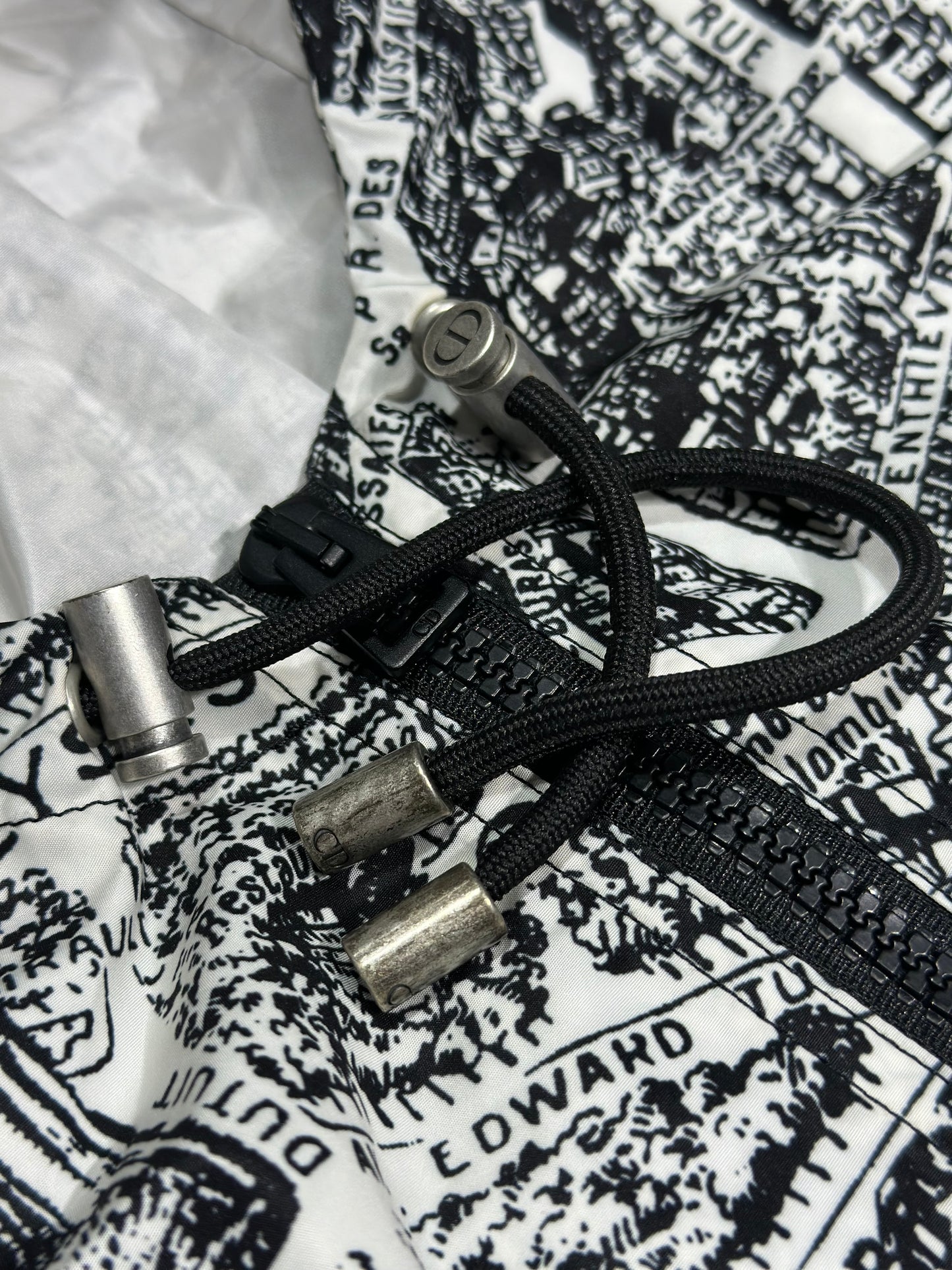 Dior Alps Hooded Down