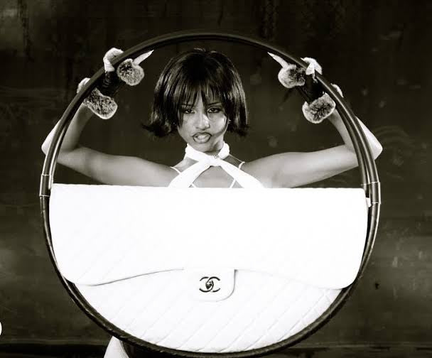 Rare Chanel SS13 Hula Hoop Flap Bag